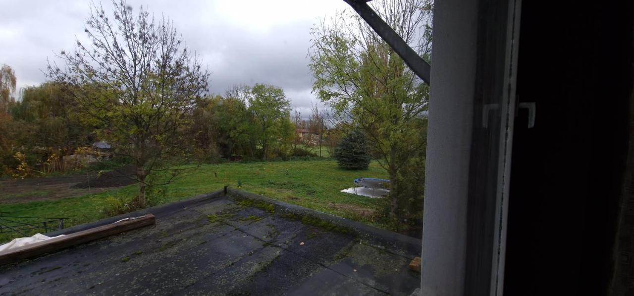 Darkwolf House Apartman Merseburg Kültér fotó