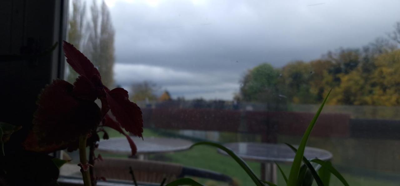Darkwolf House Apartman Merseburg Kültér fotó