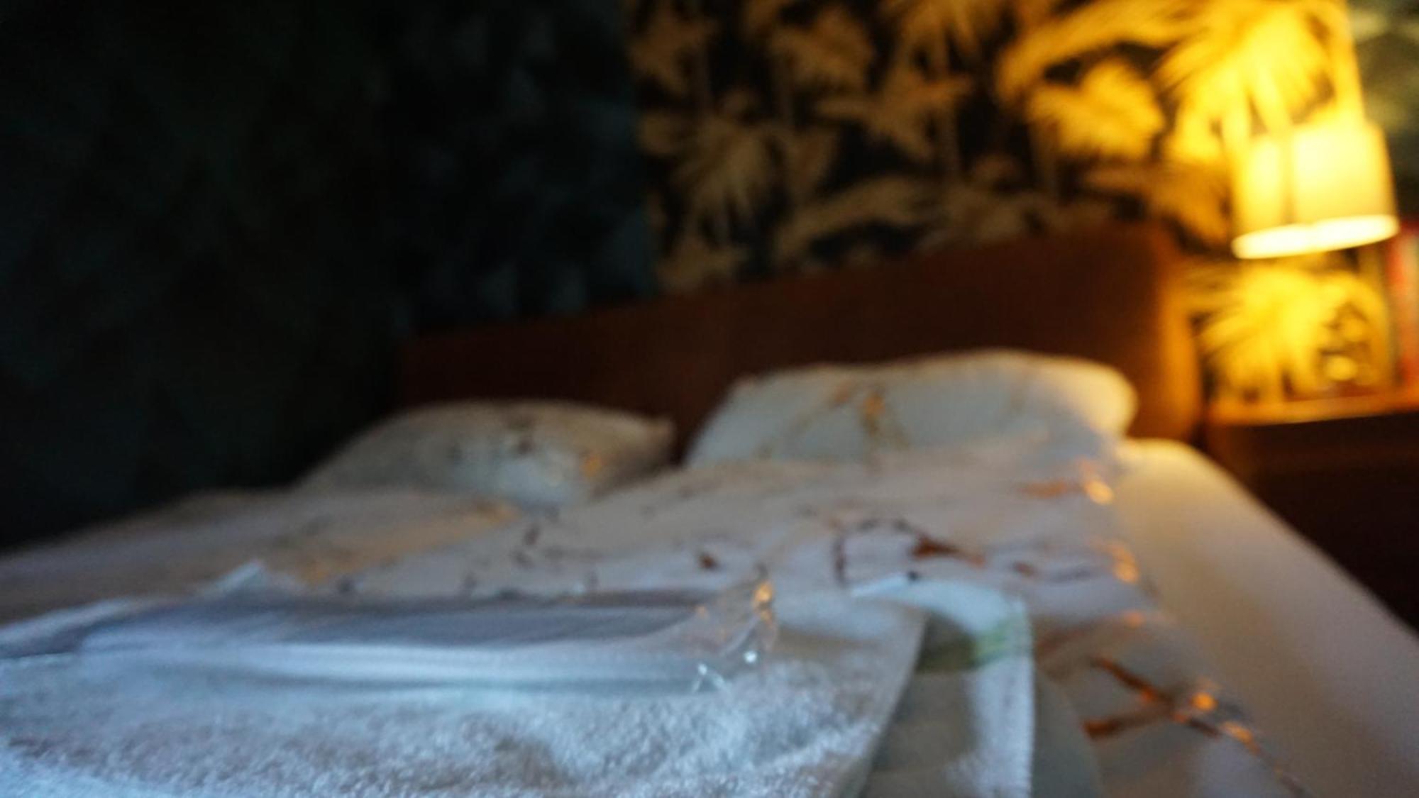 Darkwolf House Apartman Merseburg Kültér fotó
