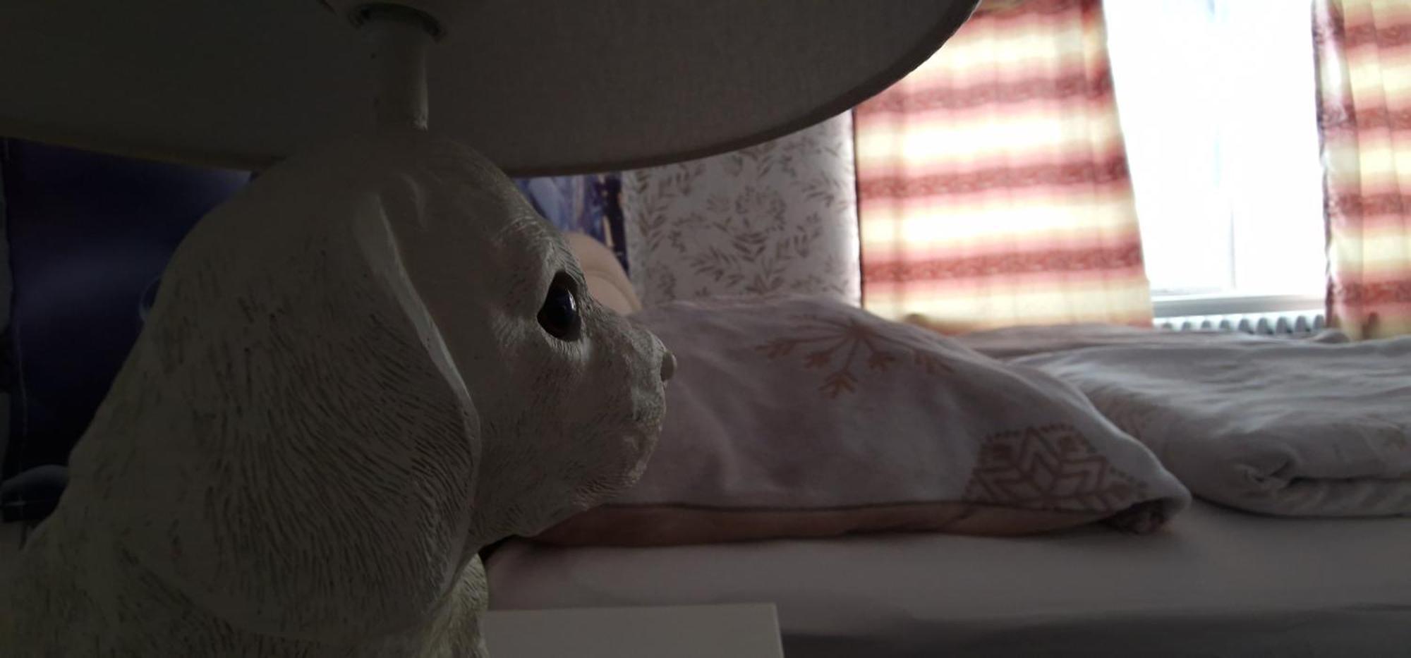 Darkwolf House Apartman Merseburg Kültér fotó