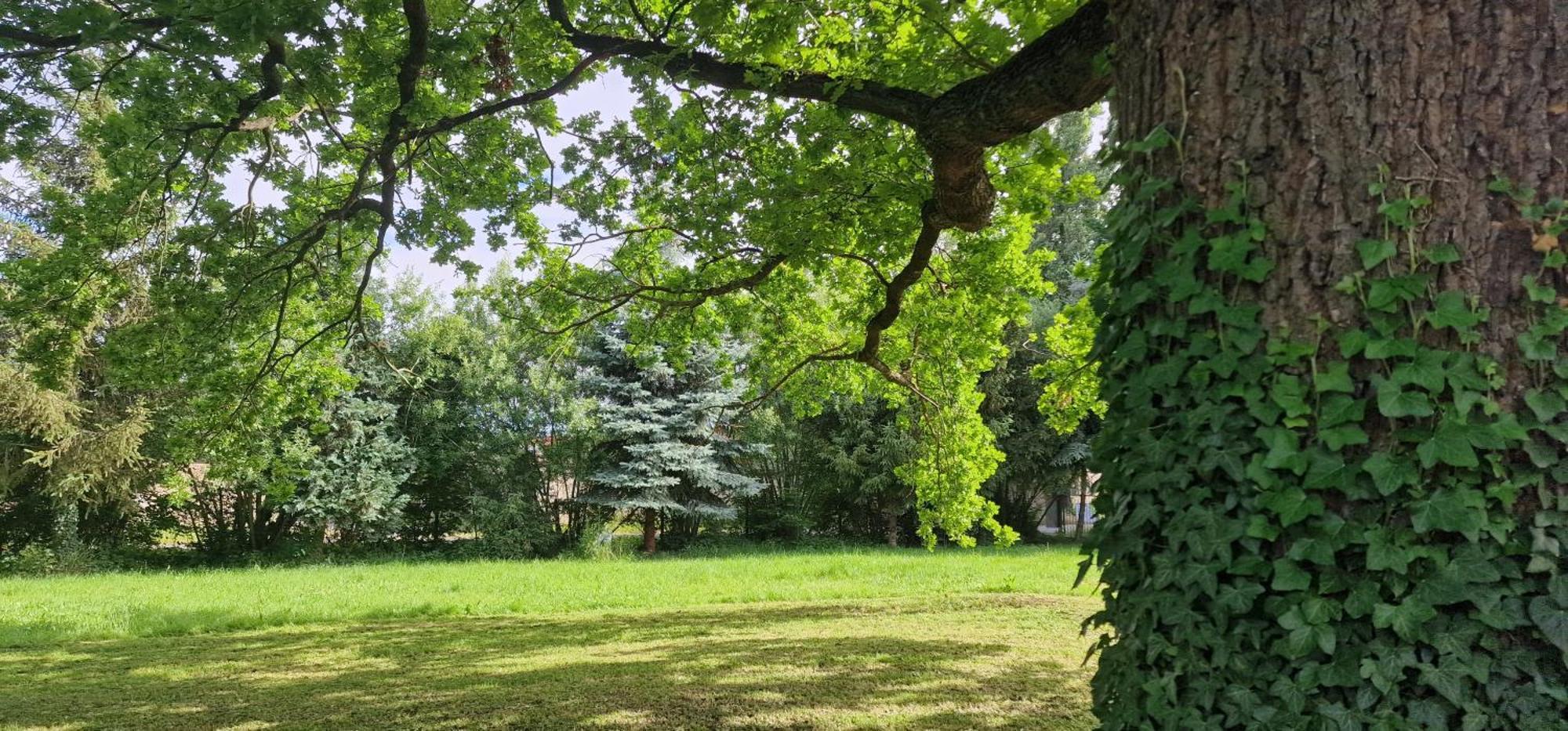 Darkwolf House Apartman Merseburg Kültér fotó