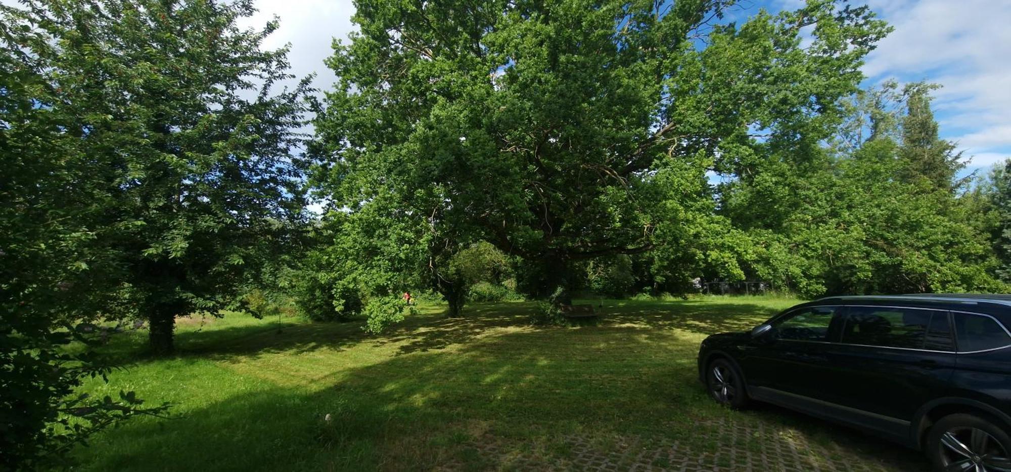 Darkwolf House Apartman Merseburg Kültér fotó